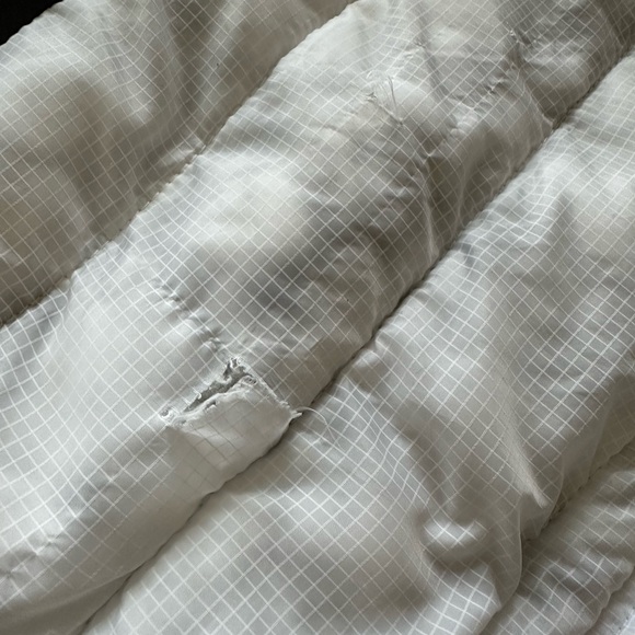 Canada Pooch Eco+ True North Dog Jacket - Picture 3 of 4